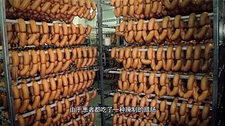 把大脑切成两半会怎样？有趣的裂脑实验