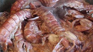 带您进入张颠颠的美食天堂