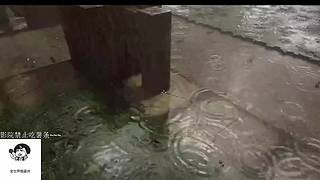 本直播间睡眠质量+1~~~