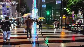 【PIGFF】猪神赏金赛