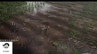 本直播间睡眠质量+1~~~