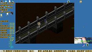 主播&夜狼vs船长&兔子