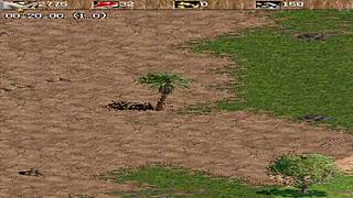 罗马菜鸟小明的直播间