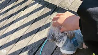 兜兜转转瑜生相伴11916959