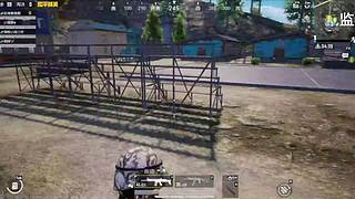 躺赢吃鸡全靠队友给力