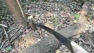 我真的不是来减肥的