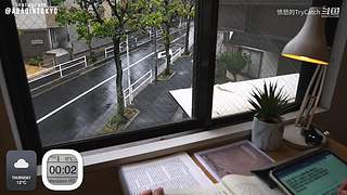 重生之奋发涂墙