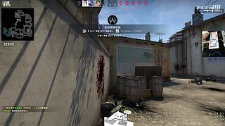 【人道洛阳花似锦】偏我来时不逢春