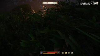 菜鸡主播，在线FH