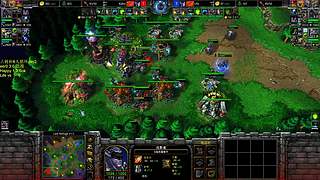 【直播】7点直播古树杯