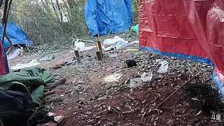 户外生存第二季