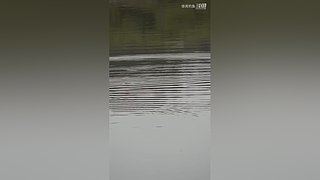 亮gnailux的直播间