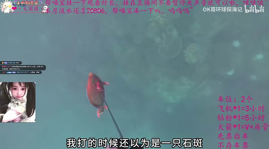 【奶喵喵】她是你的宝宝，那我是谁的宝宝！