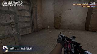 为了开心打游戏