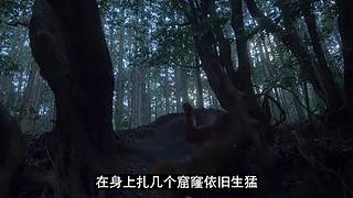 【牛叔2台】欢迎来到牛叔的悬疑世界