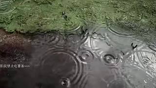 本直播间睡眠质量+1~~~