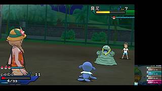 宝可梦之王整顿小洛克