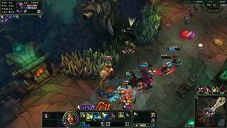 胖猫爱恰华莱士