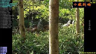 (小毅）小毅剧场点播