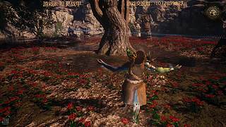 来试试灵魂战甲，啊祖灵战甲