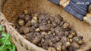 滇西小哥的美食视频