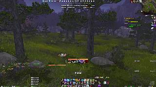 爱抓灵魂兽的boy