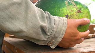 今天咱们吃一顿好的，持续更新..