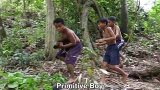 欢乐猴群纪录片