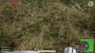 运营上分.上车dd