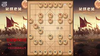 新主播求关注！ 882513