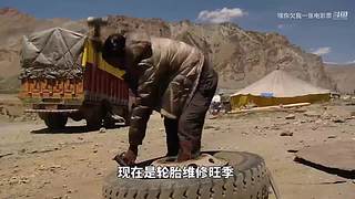 LOLM春风扶杨柳，敢问是段友