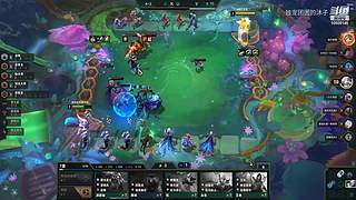 新人，第一天！