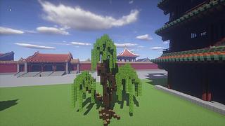 【好久不见】birthday特别直播