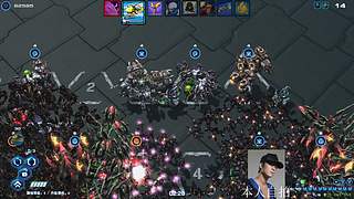 蓝桉：早起的鸟儿