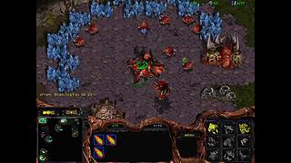 诸葛酒神曲的直播间