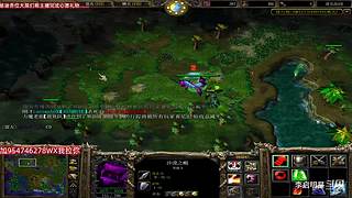 魔兽达尔文进化岛直播间