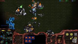 暴风虫族Ameba教你玩转星际争霸I