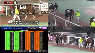 用户9740083139的直播间