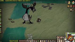 看直播得皮肤 饥荒小明鸽i