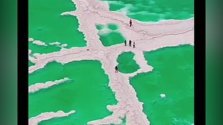 不羡鸳鸯不羡仙啊