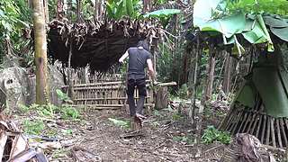 东南亚丛林生活实录