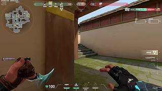 阿毛毛的小喵喵