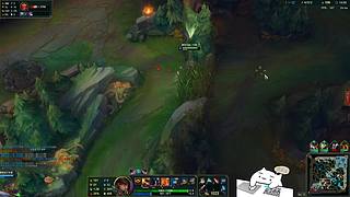 【人道洛阳花似锦】偏我来时不逢春