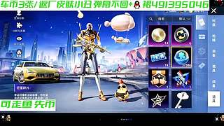 车币返厂皮肤来