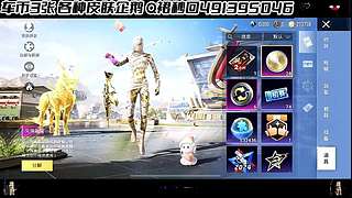 【购买入口车币返厂皮肤