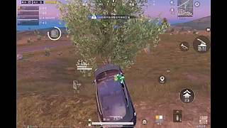 29599丶莞年的直播间