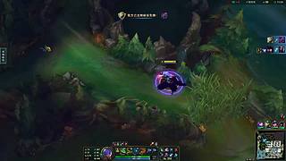 豹子中单是一种艺术丶