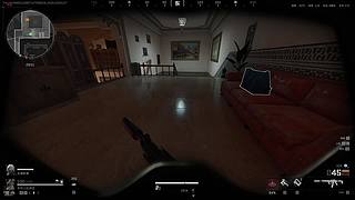 我有一只小兔子