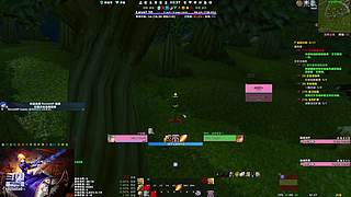 供我家菜狗子观光