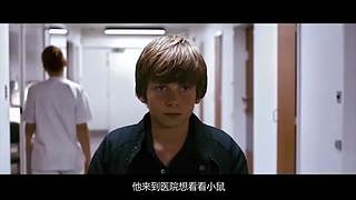 【麦绿素】几分钟带你完整看电影（尽量）